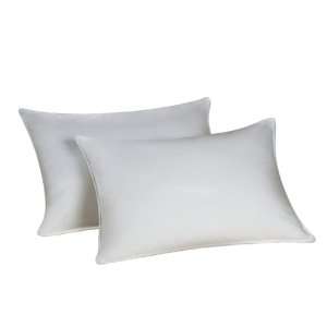   Gel Fiber Standard Pillow at Many Wingate Hotels: Home & Kitchen