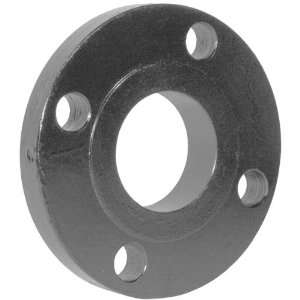 Slip  On 150 Lb. ASA Forged Flange   SO300:  Industrial 