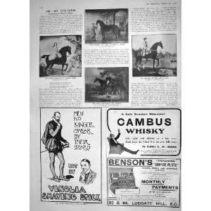  1908 HORSE KING NOBBY ORRERY GENERAL WEBB HUNTSMAN DOGS 