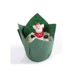   Cosmetics Christmas Sheer Bath Tulip 100g x 5