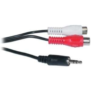   RCA Female / 3.5mm Stereo Male, 6 ft (10A1 12206)  : Office Products