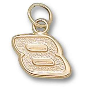  Dale Earnhardt Jr. #8 Small Gold Plated Pendant: Sports 