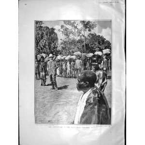  1904 MAIL ENTEBBE UGANDA AFRICA FIRE THEATRE VIENNA: Home 