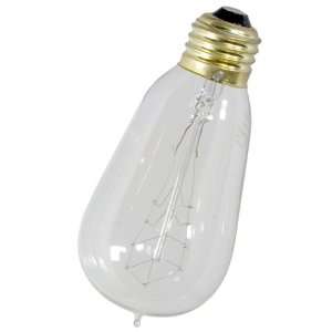 40 Watt   1900 Edison Style   Nostalgic Antique Light Bulb   FerroWatt 