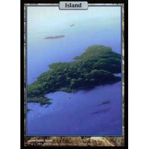  Magic the Gathering Island (137) (Foil)   Unhinged Toys 