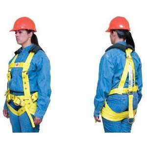   Lewis manufacturing co. Fall Arrest Harnesses  
