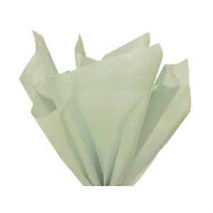   Light Sage Tissue Paper 20 X 30   48 Sheets: Health & Personal Care