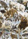 Snowy Silence Wild Animals Bears Wolf Quilt Fabric 1 Yd  