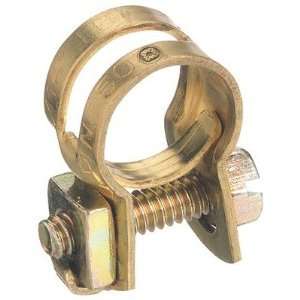  Hose Clamps   we 503 clamps [Set of 10]