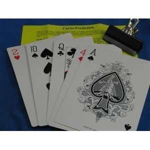  Card Prediction   Card Magic Trick Toys & Games