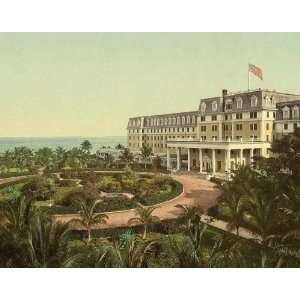  Vintage Travel Poster   Hotel Royal Palm Miami Florida 24 