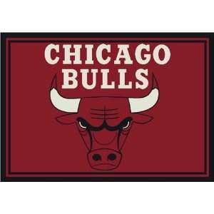  NBA Team Spirit Rug   Chicago Bulls: Sports & Outdoors
