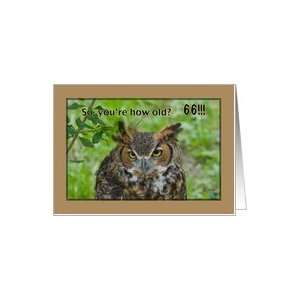  66th Birthday Card with Great Horned Owl Card: Toys 