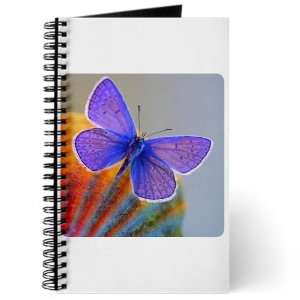  Journal (Diary) with Xerces Purple Butterfly on Cover 