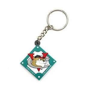 Tri City Valley Cats Key Chain:  Sports & Outdoors