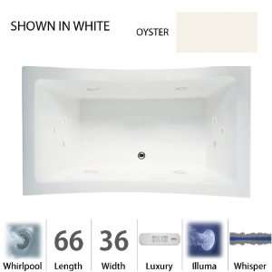 Jacuzzi ALL6636 WCR 4IW Y Oyster Allusion 66 x 36 Allusion Drop In 