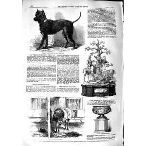    1851 TERRIER DOG HORSE CRIB BITING CONYERS BULKELEY