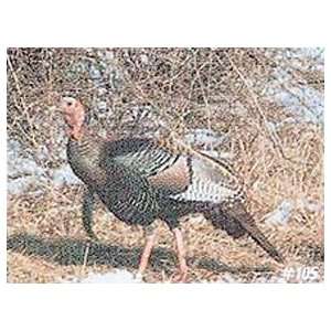   Delta Sports Products Llc #105 Wild Turkey Target: Sports & Outdoors