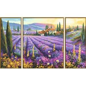    Schipper Lavender Fields Paint by Number (4000887926048) Books