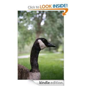 Dont be A Goose For Ever: Cleve Tidwell:  Kindle Store