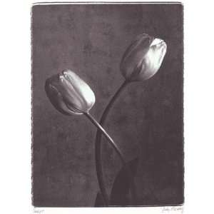  Criss Crossed Tulips artist: Judy Mandolf 9.45x11.8: Home 