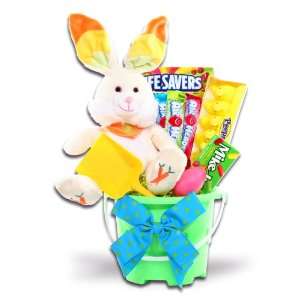 Alder Creek Gifts Bunny Easter Pail Gift Basket:  Grocery 