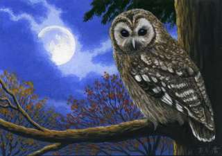 Owl Autumn moon limited edition aceo print art  