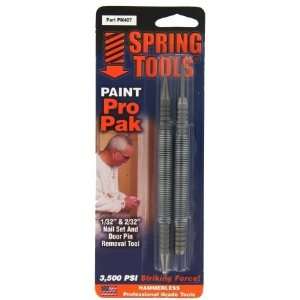  Spring Tools Paint Pro Pack: Home Improvement