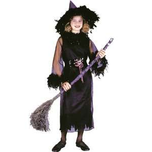    Feather Witch Costume Small 4 6 Kids Halloween 2011: Toys & Games