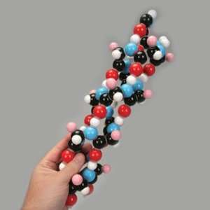 MolyMod Protein Alpha Helix Set  Industrial & Scientific