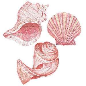  Wallies 12019 Sea Shells Wallpaper Cutout: Home 