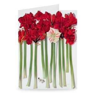 Red Amaryllis with Butterfly (oil on panel)    Greeting Card (Pack 