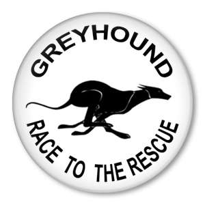 GREYHOUND RACE TO THE RESCUE dog adoption pin button  