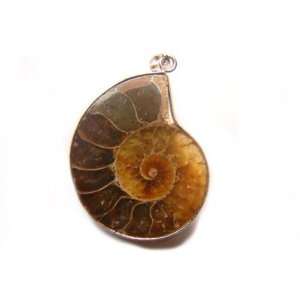  PE0360 Madagascar Ammonite Fossil Crystal Pendant Jewelry