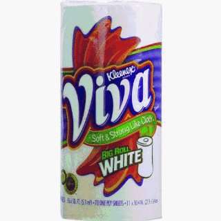   . 19111 70 Sheet Count Viva Paper Towel (Pack of 24): Home & Kitchen