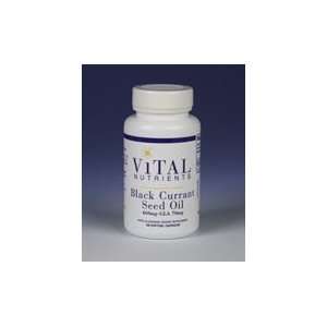  Vital Nutrients   Black Currant Oil 460mg 100c Health 
