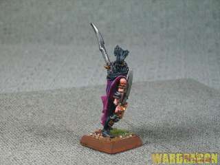 WDS painted Dark Elf Dreadlord with additional Hand Weapon w23  