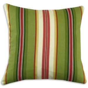 Chooty Andari Stripe 17 by 17 KE Down Pillow, Multi