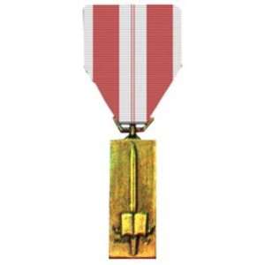  Vietnam Training Service Medal 1st Class Patio, Lawn 