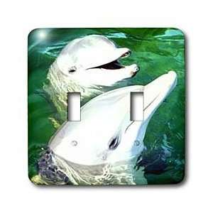 Dolphins   Bottlenose Dolphin   Light Switch Covers   double toggle 