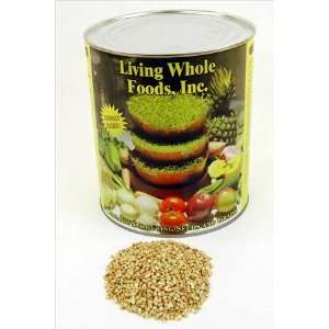 Organic Hulled Buckwheat Sprouting Groats   Buck Wheat Sprout Seeds 