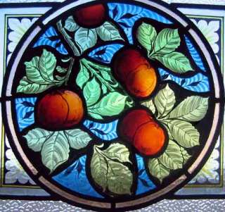AMAZING PAINTED FRUIT KILNFIRED STAINED GLASS WINDOW  