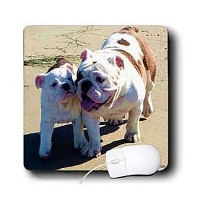    Edmond Hogge Jr Dogs   You Belong With Me   Mouse Pads Electronics