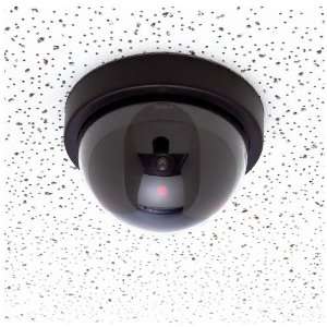   Security Camera, Dome Shape, 1 Red Flashing Light