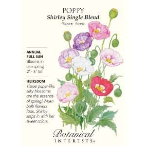  Shirley Single Blend Poppy Seeds   .50 grams Patio, Lawn 