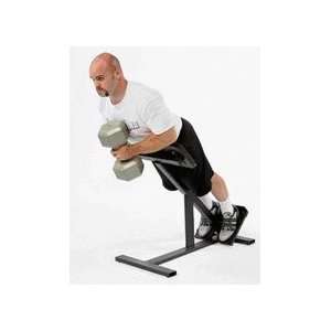  45 Degree Glute / Ham Station: Sports & Outdoors