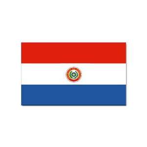  Paraguay Flag Rectangular Magnet