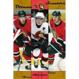  Ottawa Senators (Spezz, Alfredsson, Chara) Sports Poster Print   24 
