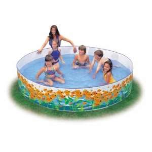    Kids Plastic Snapset Backyard Fish Swimming Pool: Toys & Games