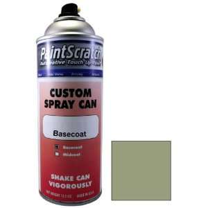   Touch Up Paint for 2005 Nissan Titan (color code: D13) and Clearcoat